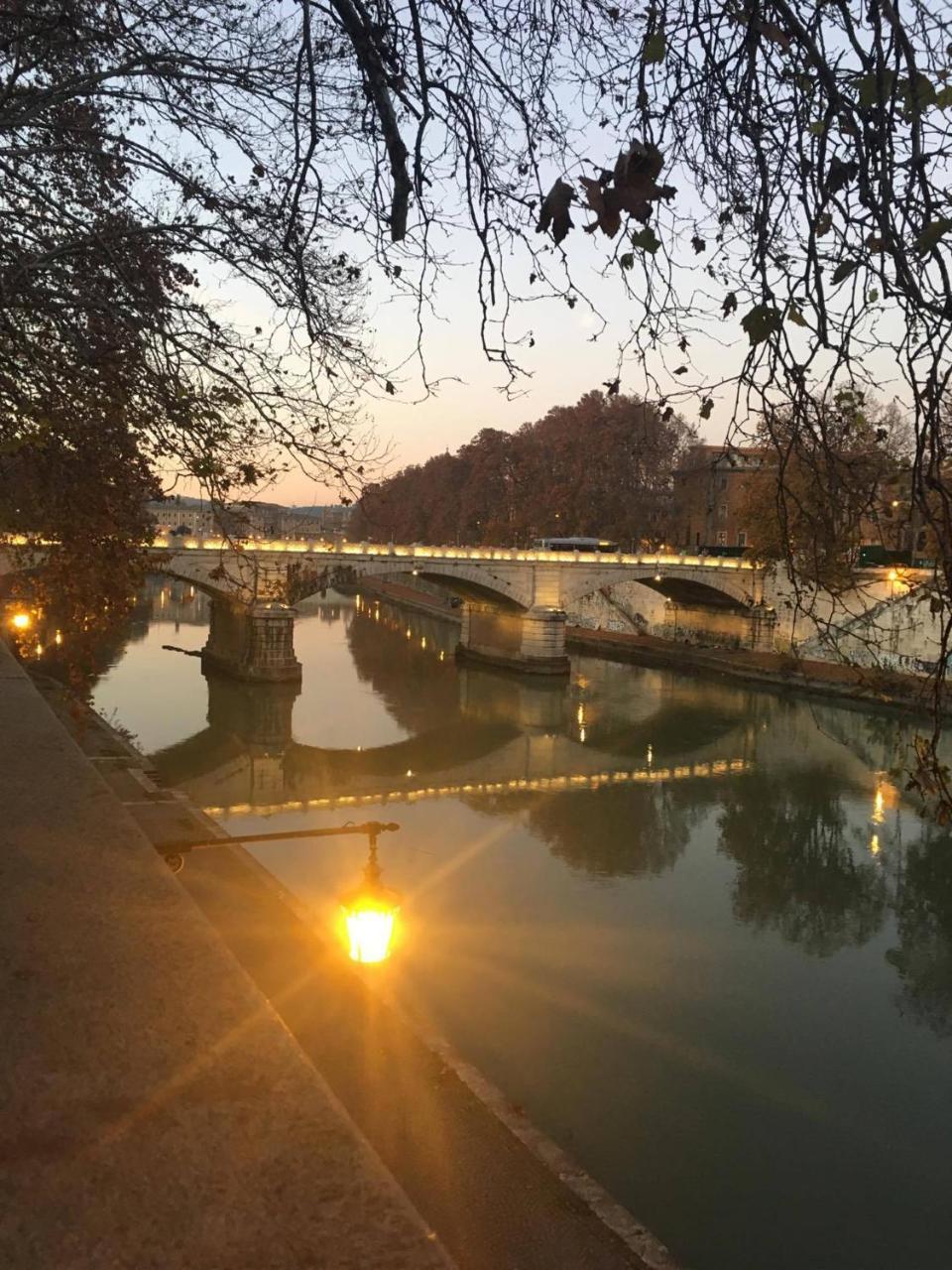 Hotel Alexis Roma Dış mekan fotoğraf